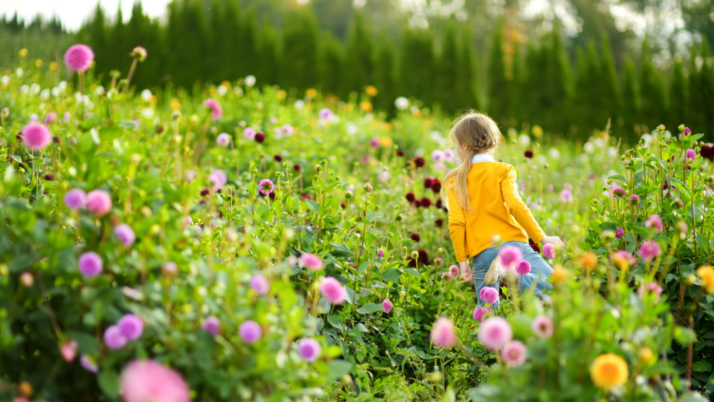 Portland Westside Events (8/31/23 - 9/3/23) 1 Portland events